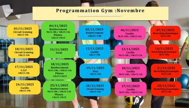 Programmation novembre- Activité gymnique