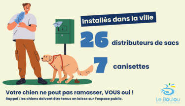 Déjections canines : une sanction renforcée pour préserver la propreté de la commune